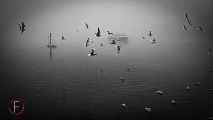 diagonismos05-rania-skentou-03-ifocus