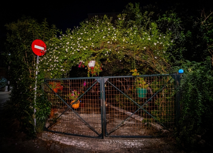 Cine Κοκκινιά: Ένας αυτοσχέδιος κινηματογράφος σε μια αυλή στην Πρέβεζα