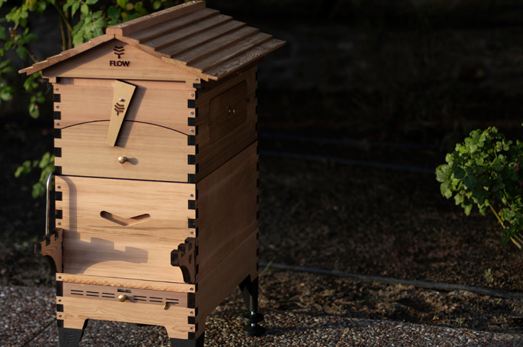 Ένας «αστικός κήπος για μέλισσες» στο σπίτι-μουσείο του Μοχάμεντ Άλι