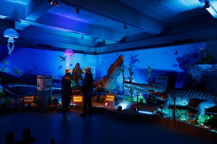 Ξενάγηση στο Θεματικό Πάρκο ZOO ECO ©ΑΧΙΛΛΕΑΣ ΧΗΡΑΣ / ΑΠΕ-ΜΠΕ