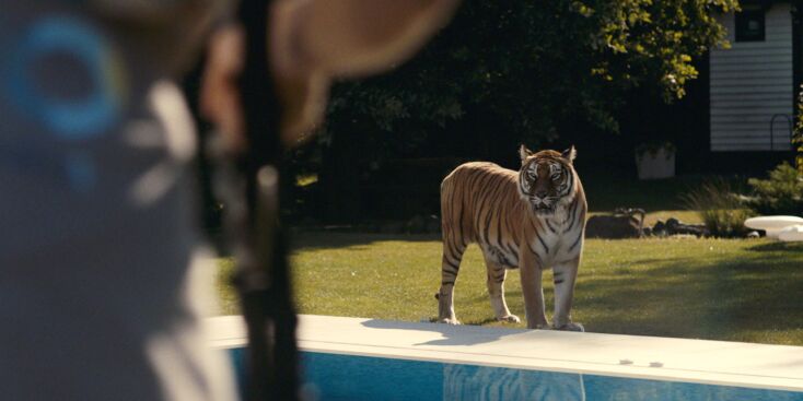 64ο Φεστιβάλ Κινηματογράφου Θεσσαλονίκης: Οι ταινίες που θα προβληθούν στα τμήματα Διεθνές Διαγωνιστικό, Meet the Neighbors+, >>Film Forward και Immersive.