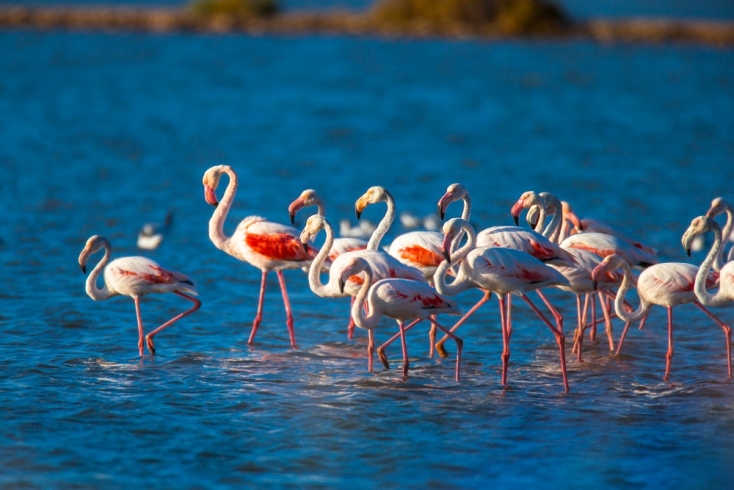 Βασίλης Συκάς : Κλικ στις σπάνιες ομορφιές της Ελλάδας 