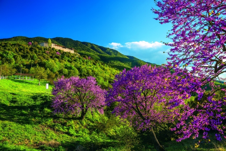 Βασίλης Συκάς : Κλικ στις σπάνιες ομορφιές της Ελλάδας 