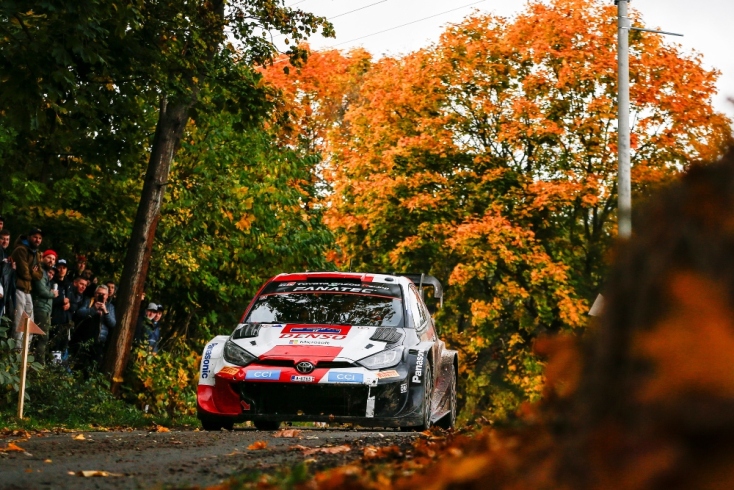 Ράλλυ Κεντρικής Ευρώπης: Ανασκόπηση