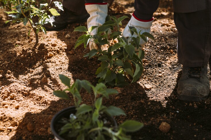 2w4a0783_ok__custom_