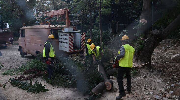 Εξάρχεια: Ξεκίνησε η κοπή δέντρων για τα έργα του μετρό - Διαμαρτύρονται έντονα οι κάτοικοι - Κριτική ασκούν Χάρης Δούκας και ΣΥΡΙΖΑ.