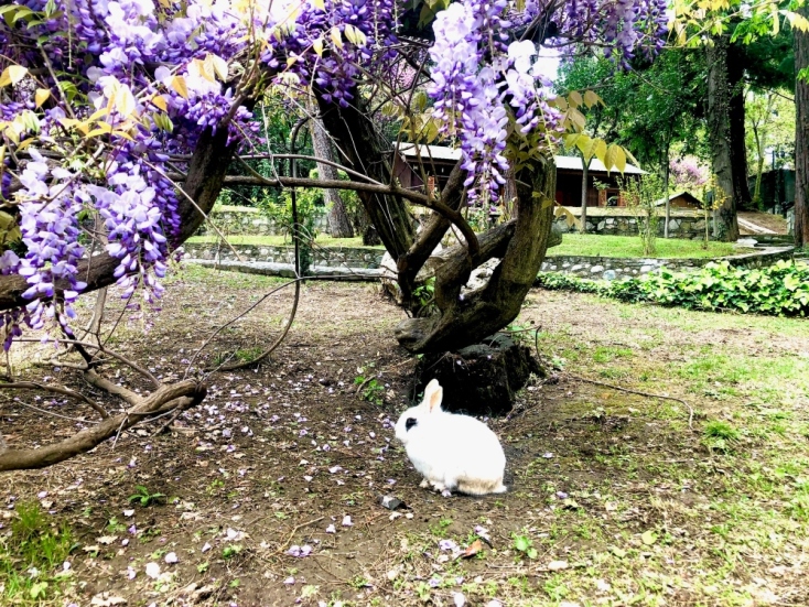 Μια ξεχωριστή γλυπτοθήκη στο Forest Park των Τρικάλων