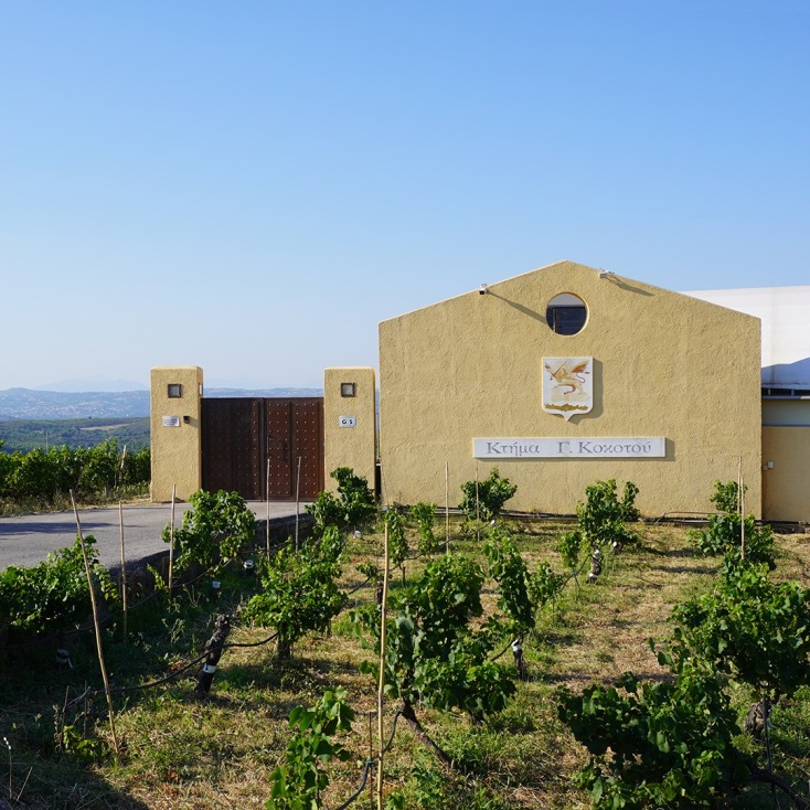 Παγκόσμια Ημέρα Οινοτουρισμού την Κυριακή 12 Νοεμβρίου και γνωστά οινοποιεία της χώρας ανοίγουν τις πόρτες τους στο κοινό 