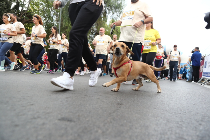 Γέμισαν χρώματα οι δρόμοι της Αθήνας για τον αγώνα των 5 χιλιομέτρων (εικόνες)