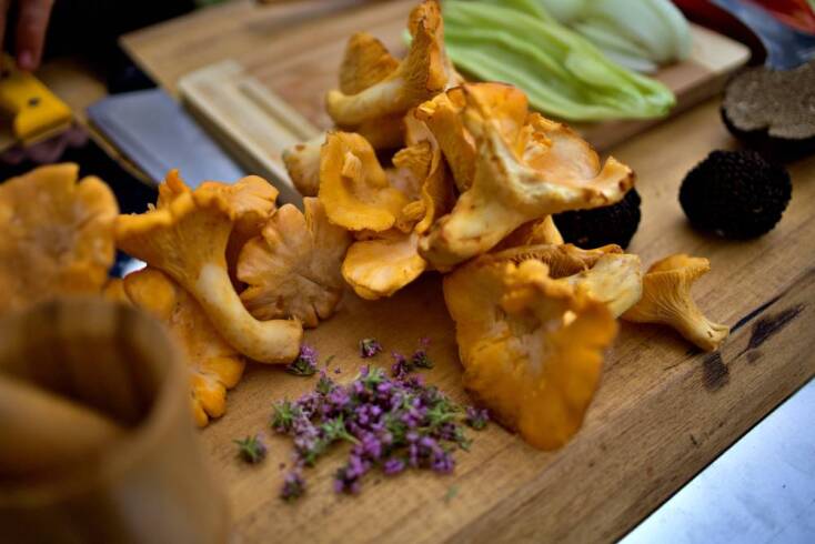 Ο μανιταροκυνηγός της Πίνδου Ανδρέας Σλιάρας