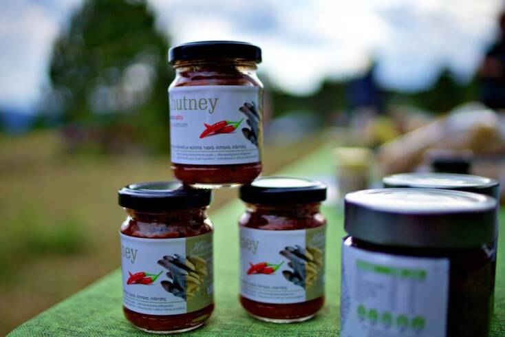 Ο μανιταροκυνηγός της Πίνδου Ανδρέας Σλιάρας