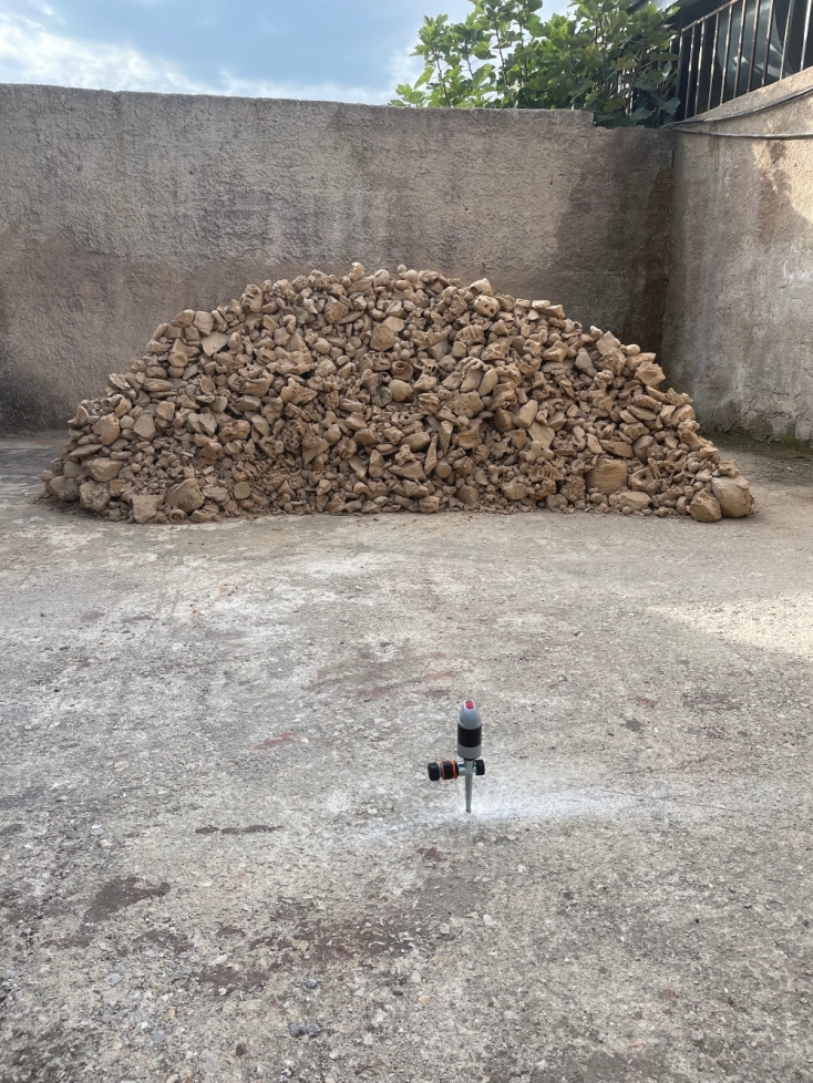 Θεόδωρος Ζαφειρόπουλος, «Σταγδιν Λαξ»