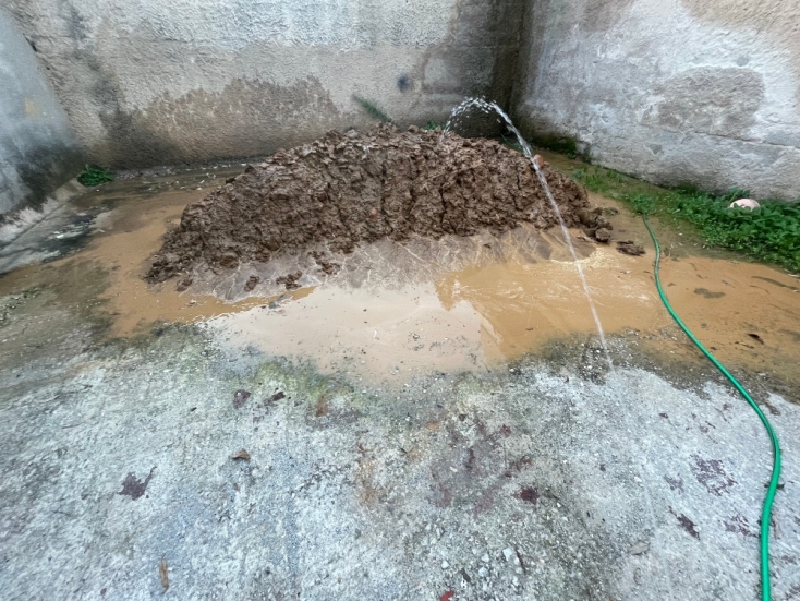 Θεόδωρος Ζαφειρόπουλος, «Σταγδιν Λαξ»