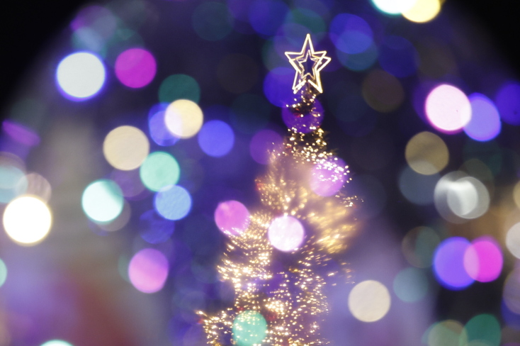 Φωταγωγήθηκε το χριστουγεννιάτικο δέντρο στην πλατεία Συντάγματος - Δείτε τις φαντασμαγορικές εικόνες