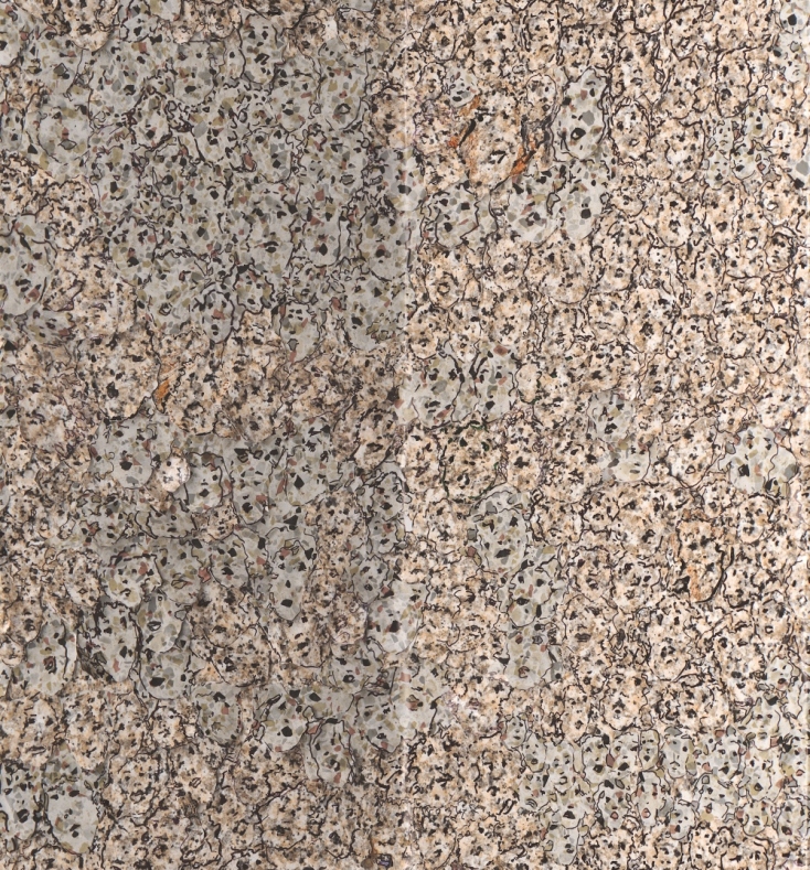 Ρένα Παπασπύρου, Εικόνες στην ύλη (λεπτομέρεια), 2023