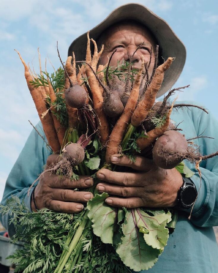 Κτήμα Ιζαμπώ