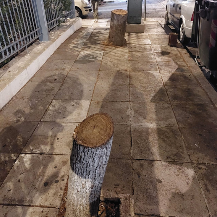 Σε βλέπω να θερίζεις τα δέντρα