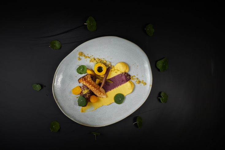 capture_one_catalog1481