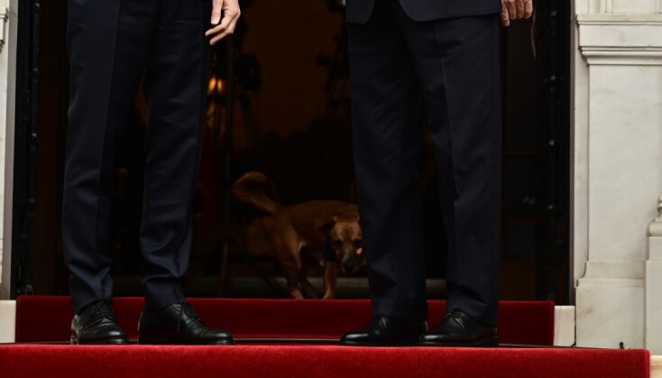 O Peanut «τρύπωσε» στις φωτογραφίες των Μητσοτάκη-Ερντογάν