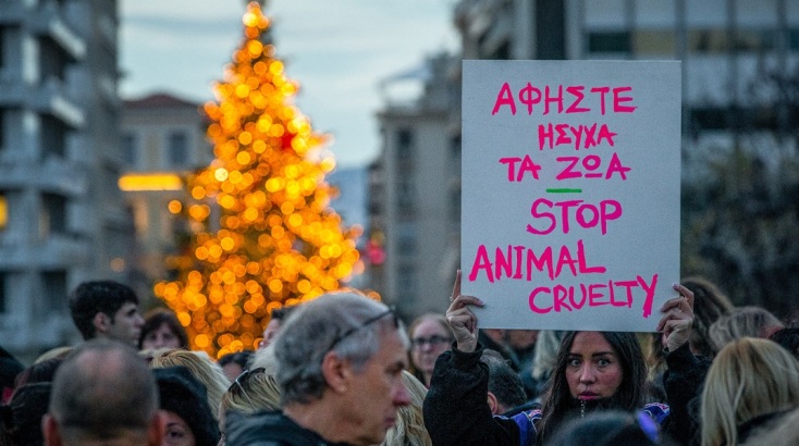 Συγκέντρωση διαμαρτυρίας στο Σύνταγμα για την κακοποίηση του «Όλιβερ» στην Αράχωβα