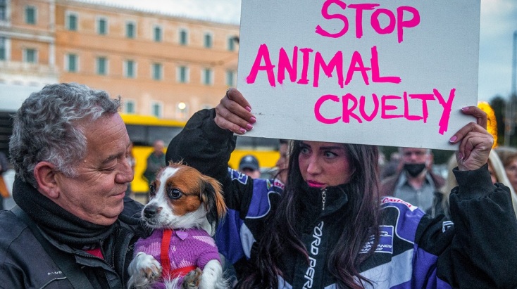 Συγκέντρωση διαμαρτυρίας στο Σύνταγμα για την κακοποίηση του «Όλιβερ» στην Αράχωβα