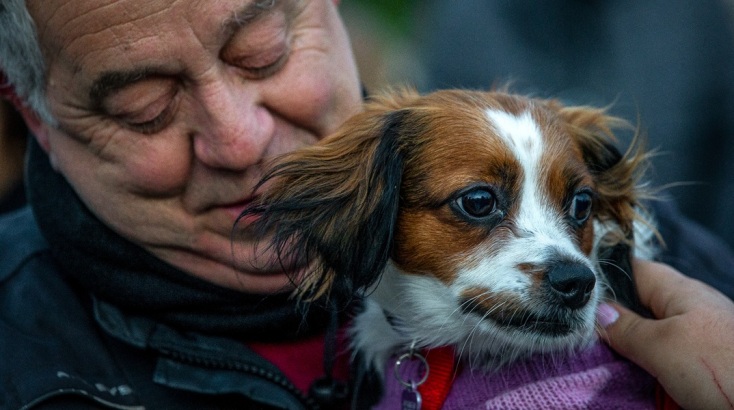 Συγκέντρωση διαμαρτυρίας στο Σύνταγμα για την κακοποίηση του «Όλιβερ» στην Αράχωβα