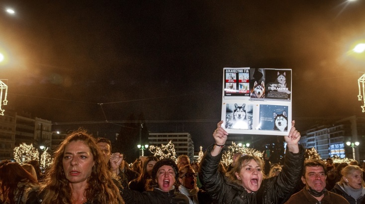 Συγκέντρωση διαμαρτυρίας στο Σύνταγμα για την κακοποίηση του «Όλιβερ» στην Αράχωβα