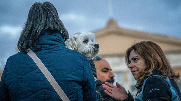 Συγκέντρωση διαμαρτυρίας στο Σύνταγμα για την κακοποίηση του «Όλιβερ» στην Αράχωβα