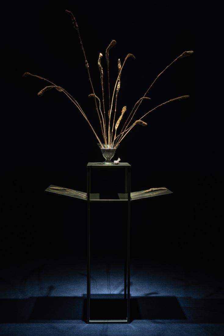 Λήδα Παπακωνσταντίνου, Spider Space, 2020-2023 