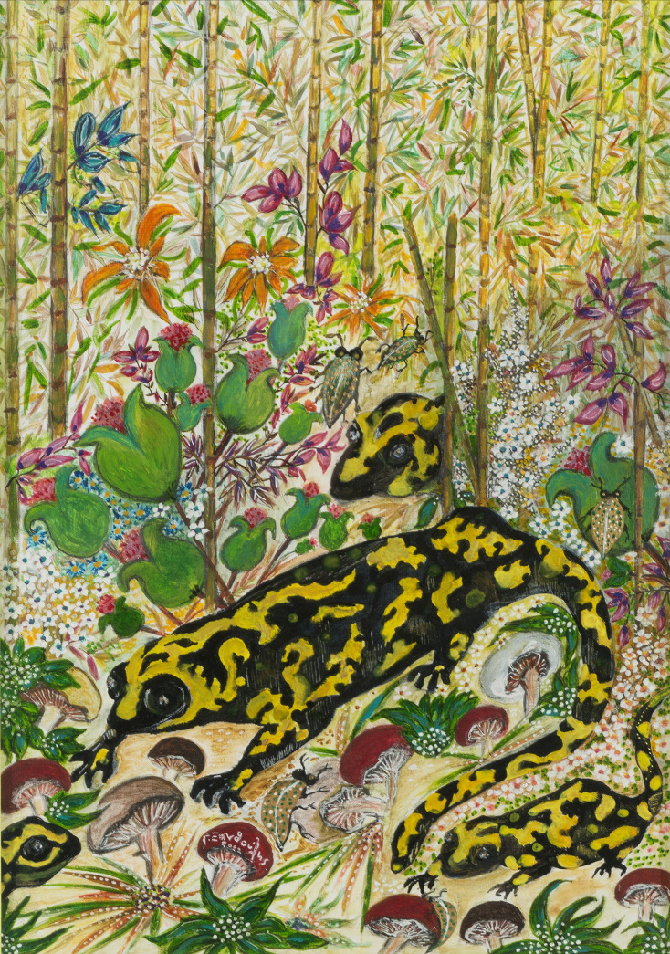 Reunion με Σαλαμάνδρες