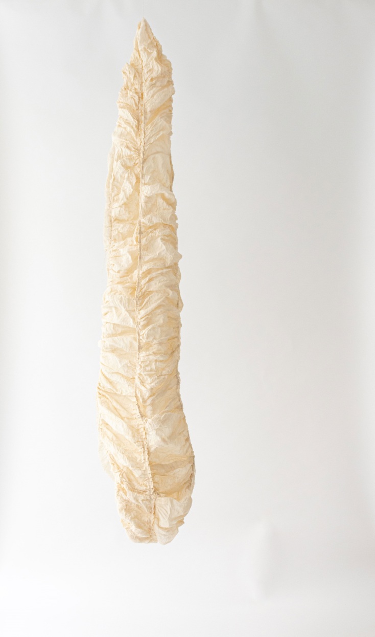 Ecdysis, 2023 της Κλεοπάτρα Τσαλή. Λινό ύφασμα (164x42εκ.)