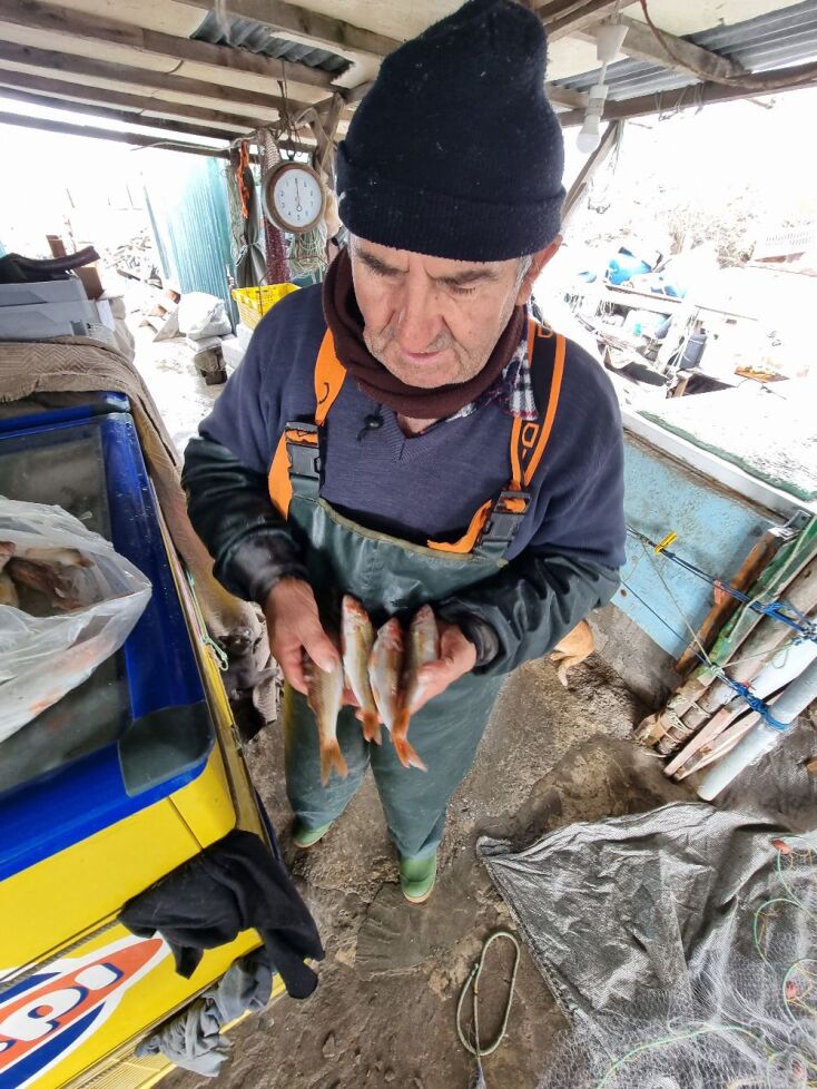 Το Δέλτα του ποταμού Έβρου