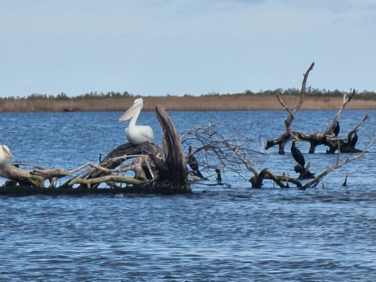 Το Δέλτα του ποταμού Έβρου