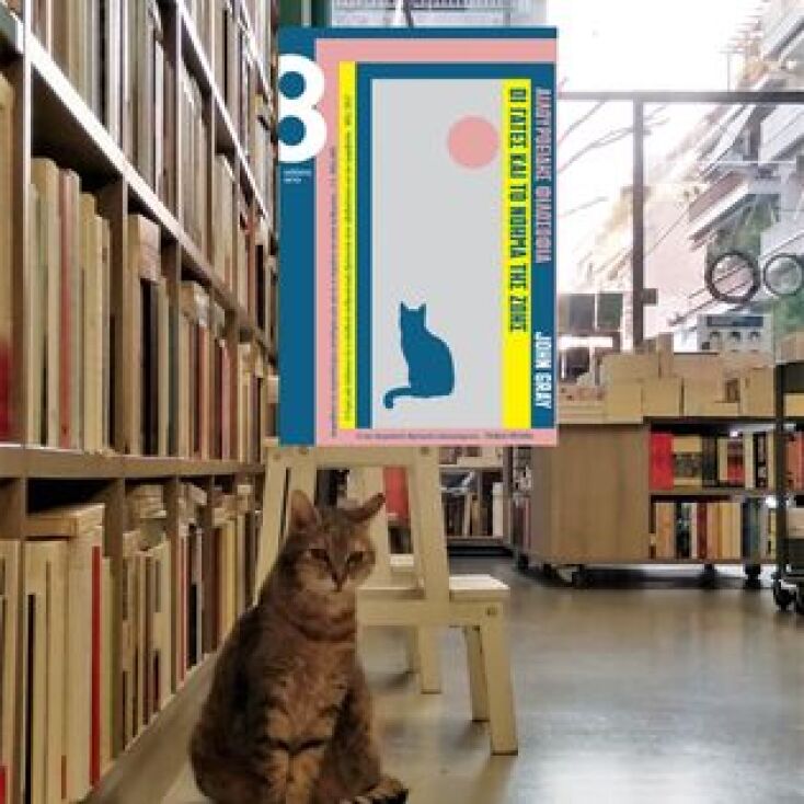 Η Βενέτσια, η γατούλα μασκότ του βιβλιοπωλείου Πλειάδες δεν ζει πια - Ο γλυκός αποχαιρετισμός της