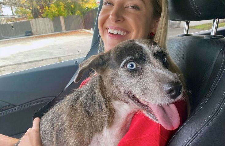 Παίκτης του NBA βρήκε σκύλο που αγνοούνταν τέσσερα χρόνια και αναζήτησε τον ιδιοκτήτη του 