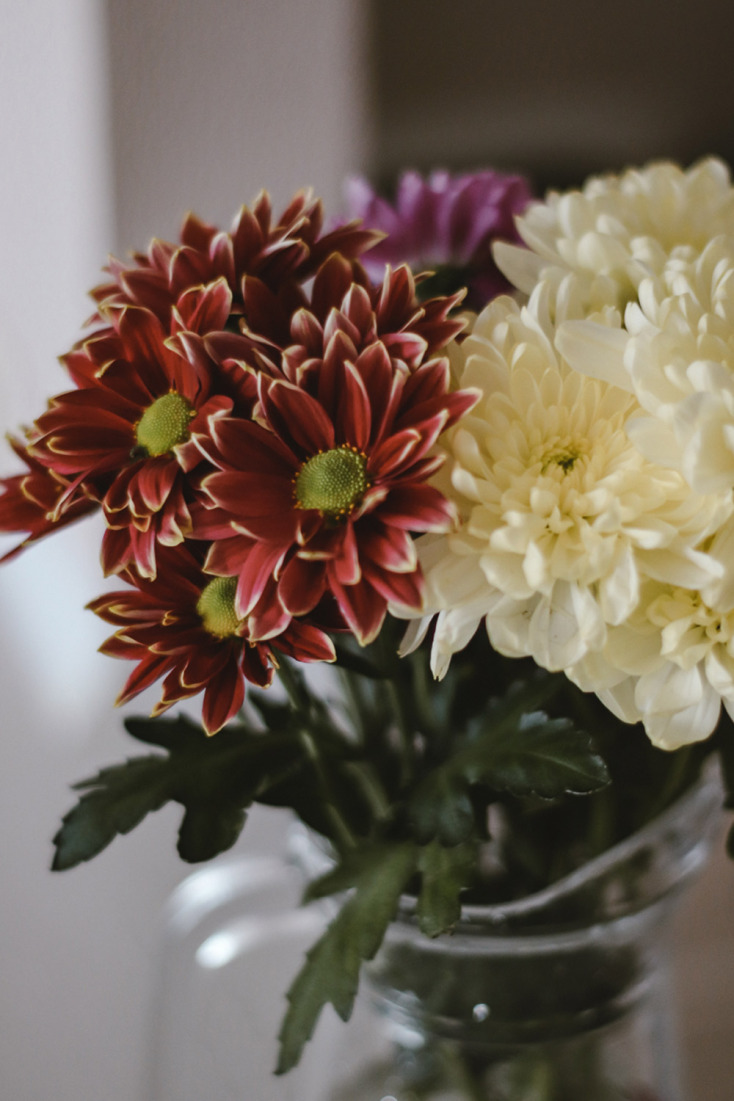 Και όμως υπάρχουν λουλούδια που ανθίζουν στο καταχείμωνο