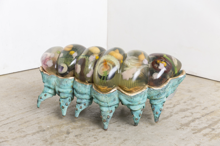 Misha Khan, "Caterpillar"