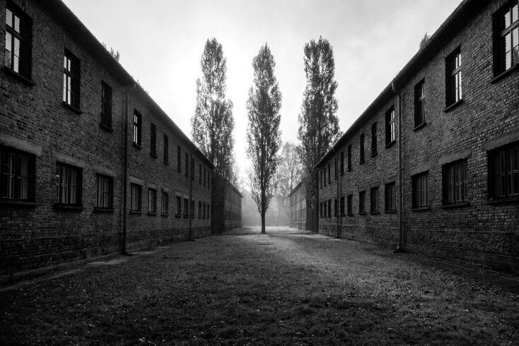 Renee Revah, "Tehom"