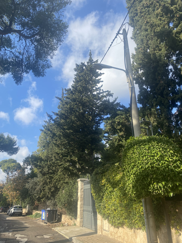 Η συγγραφέας Λένα Διβάνη γράφει για το πράσινο στην Κηφισιά και το γκρίζο του κέντρου