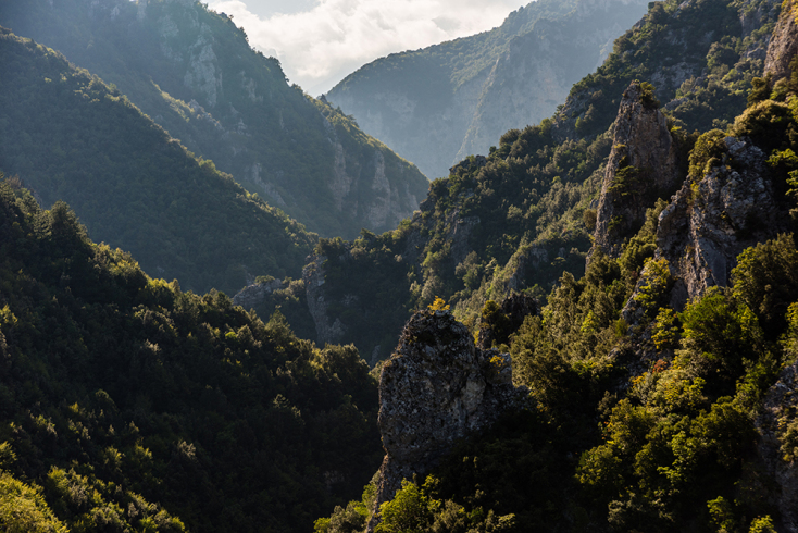 Βλάστηση στο φαράγγι του Ενιπέα