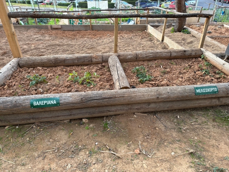 Ένα πρωινό στον κοινωνικό λαχανόκηπο της Πετρούπολης