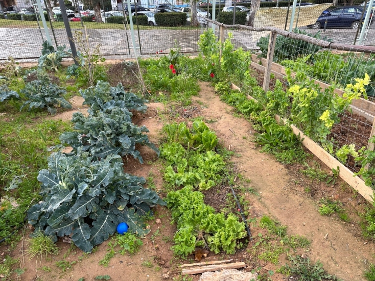 Ένα πρωινό στον κοινωνικό λαχανόκηπο της Πετρούπολης