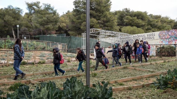Ένα πρωινό στον κοινωνικό λαχανόκηπο της Πετρούπολης