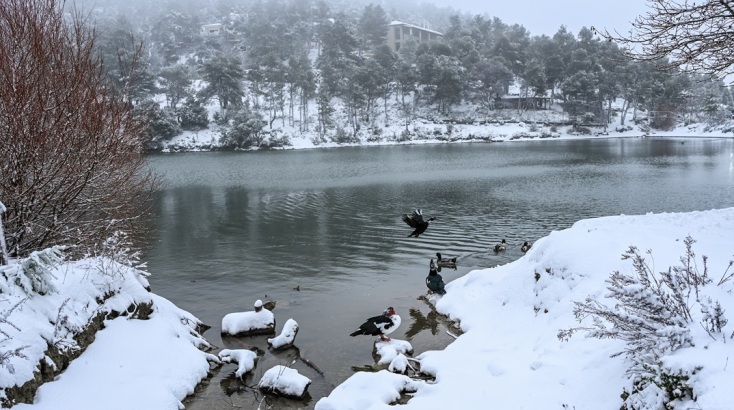 Πώς θα κινηθεί η κακοκαιρία «Avgi» τις επόμενες ώρες - Τι ισχύει για τις κυκλοφοριακές ρυθμίσεις 
