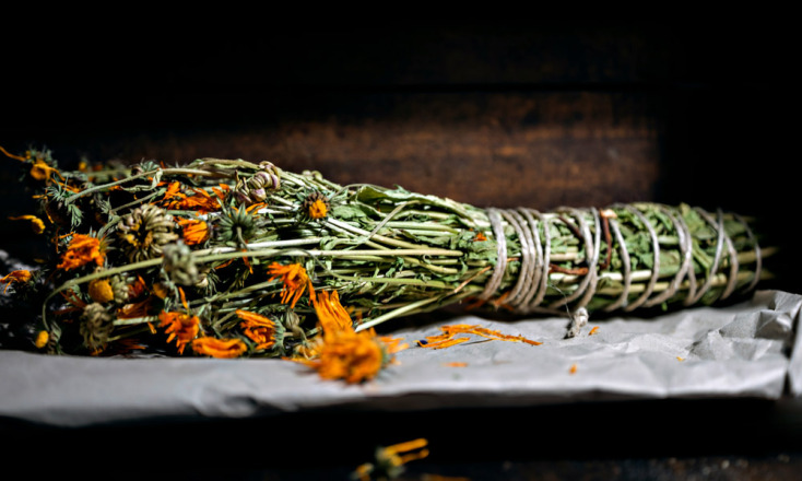 Καλέντουλα