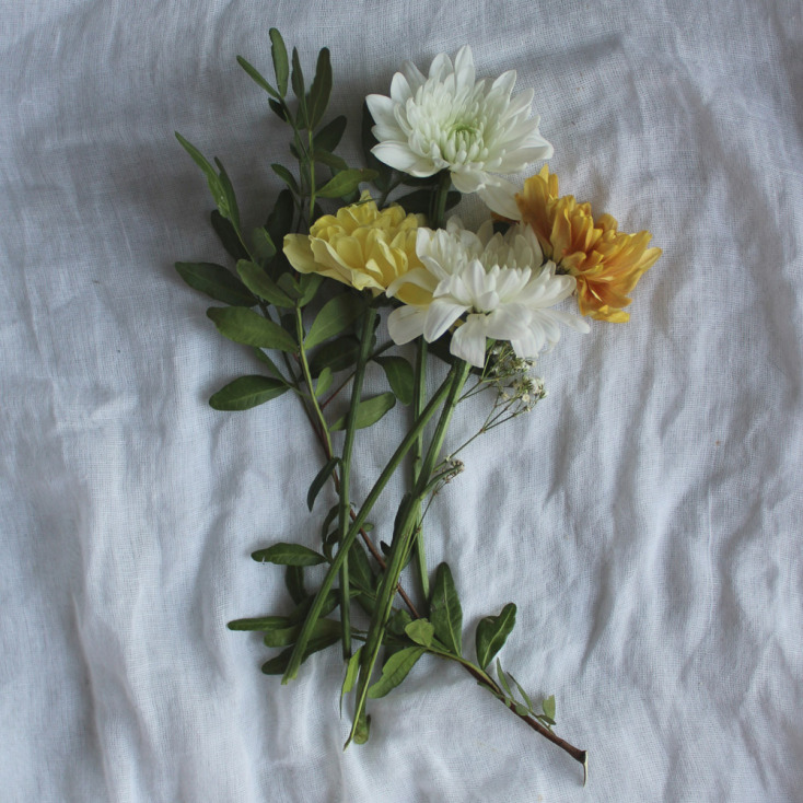 Χρυσάνθεμο