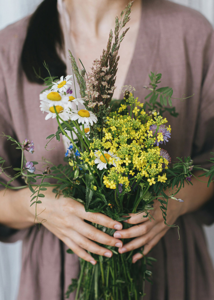 Αγριολούλουδα