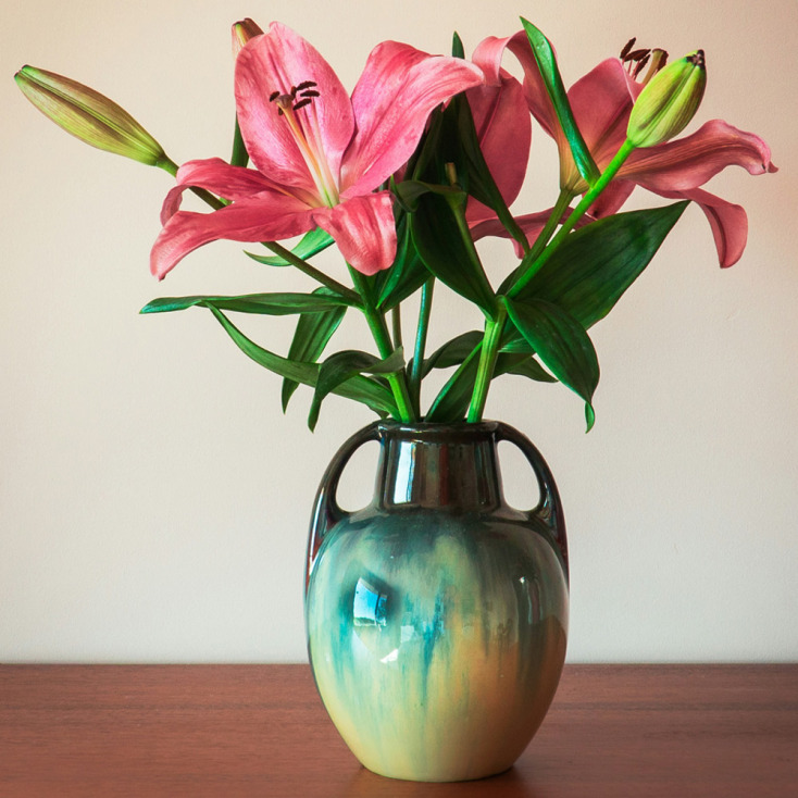 Κρίνοι της Κάλλας