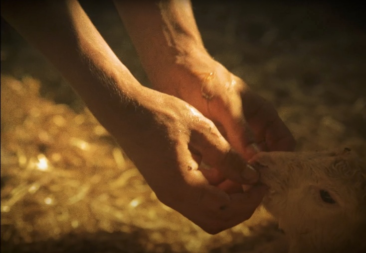 26o Φεστιβάλ Ντοκιμαντέρ Θεσσαλονίκης: Οι ταινίες των διαγωνιστικών τμημάτων - 35 πρεμιέρες και «εισιτήριο» για τα Όσκαρ.