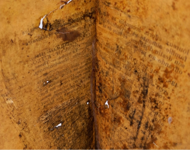 Έργο του Παναγιώτη Δαραμάρα